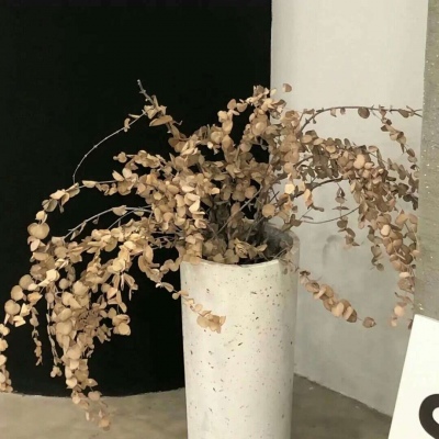 Furry插画线稿分享兽圈群